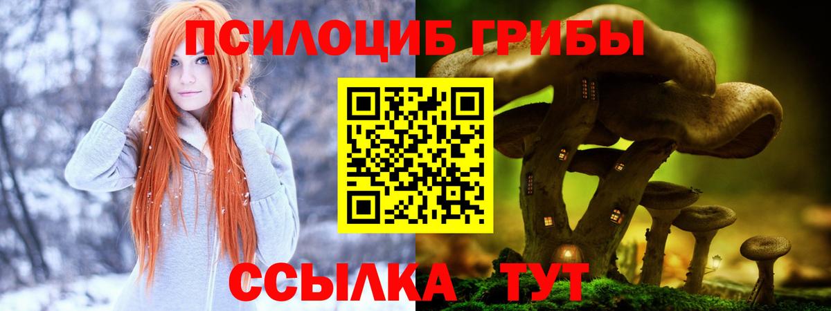 Галлюциногенные грибы GOLDEN TEACHER  Вход с VPN  Набережные Челны 